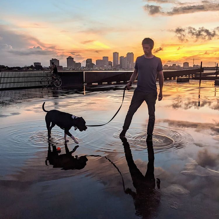 man walking dog at sunset